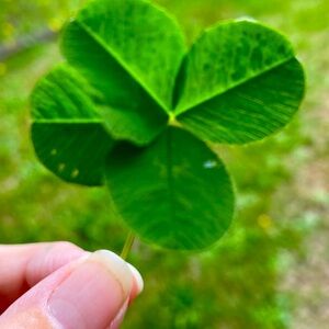 Thank you for shopping in Treasurebilia🍀